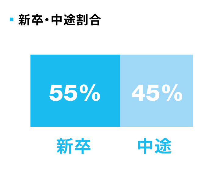新卒・中途割合