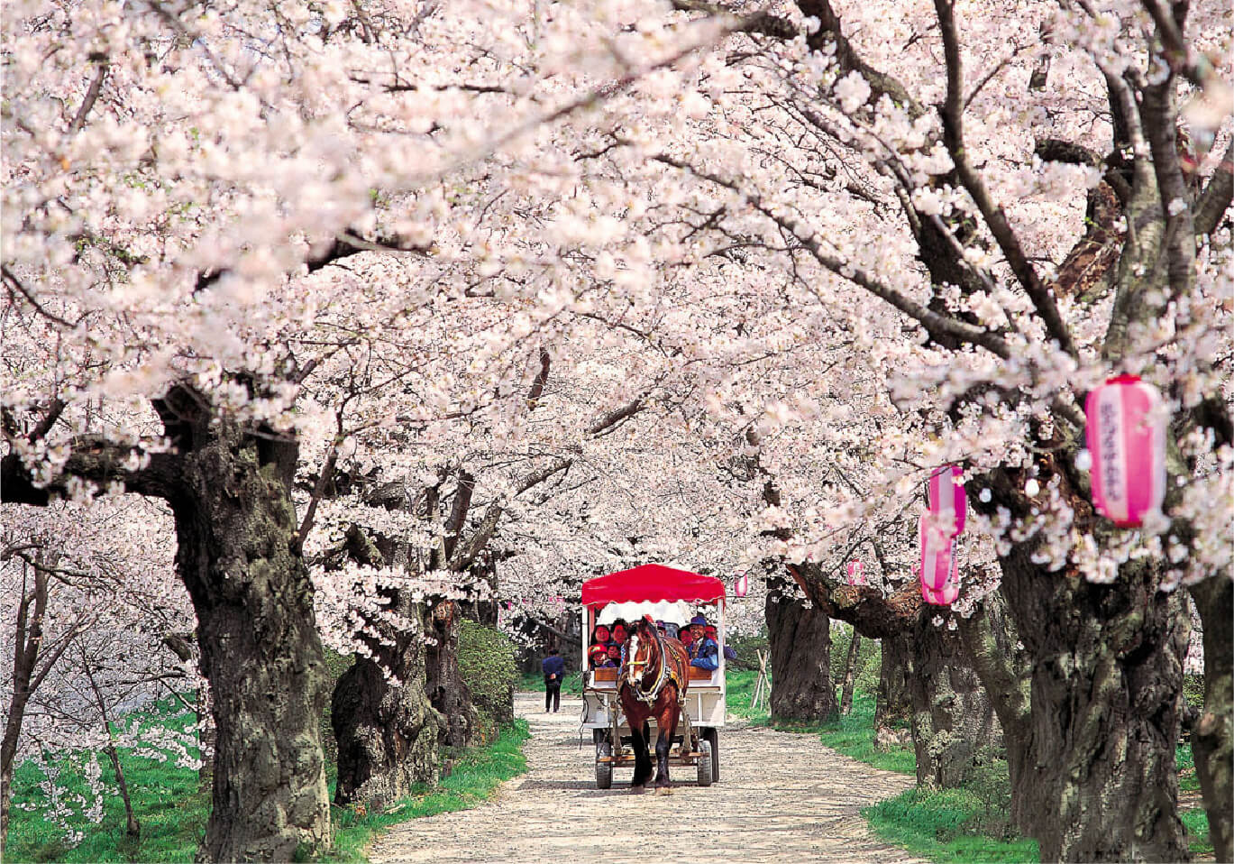 北上市立公園展勝地