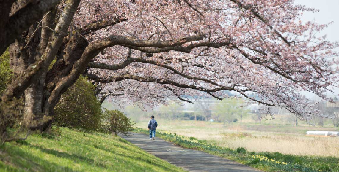 北上市を知る