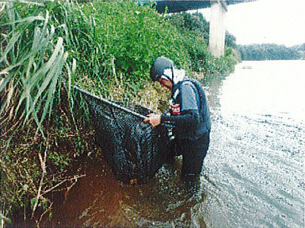 Biological Survey of Kitakamigawa River