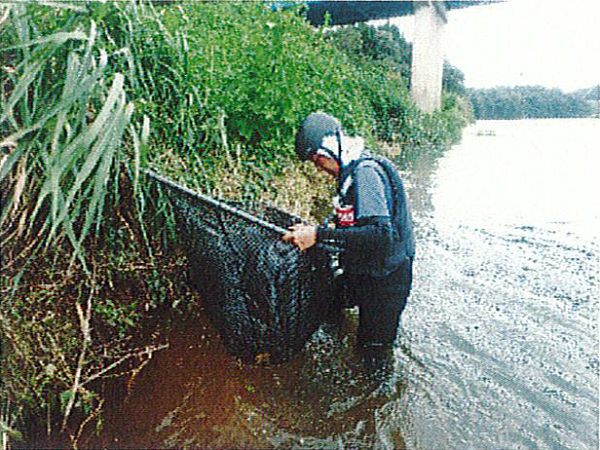 北上川生物調査